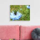 Korenbloem Canvas Print (Insitu (Woonkamer))