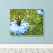 Korenbloem Canvas Print (Insitu (Houten vloer))