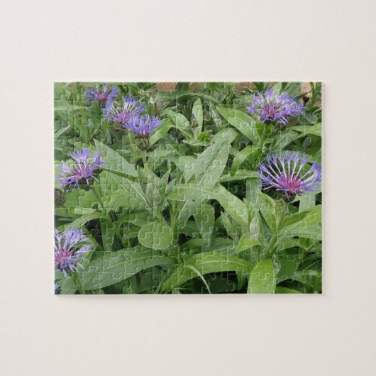 Korenbloemen Puzzel (Horizontaal)