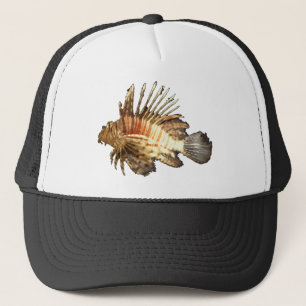 Korenvis Trucker Pet