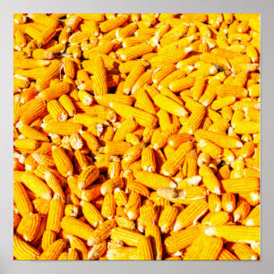 Korn op de krab poster