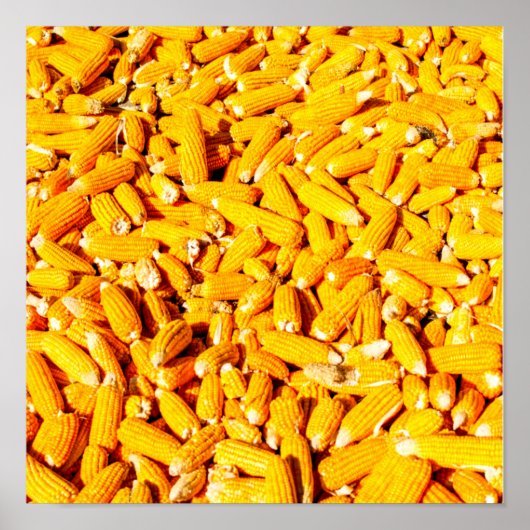 Korn op de krab poster (Voorkant)