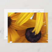 Kornbloem 1 briefkaart (Voorkant / Achterkant)