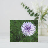 Kornbloem Briefkaart (Staand voorkant)