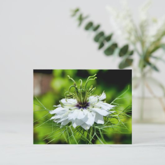 Kornbloem Briefkaart (Staand voorkant)