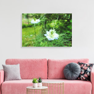 Kornbloem Canvas Afdruk