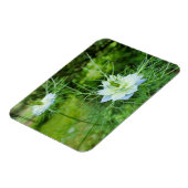 Kornbloem Magneet (Linkerzijde)