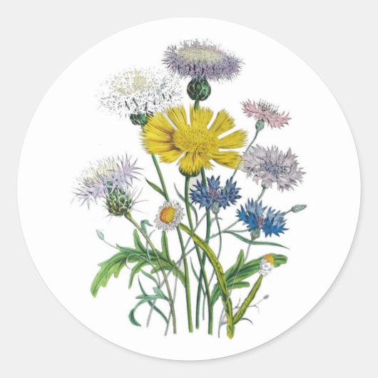 Kornbloemen Ronde Sticker (Voorkant)
