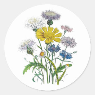 Kornbloemen Ronde Sticker