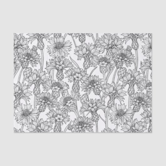 Kornbloemen, wilde bloemen, zwart-wit tissuepapier (Voorkant)