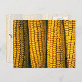 Kornetextuur Briefkaart (Voorkant / Achterkant)