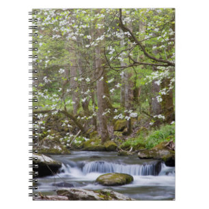 Kornoelje Bomen Great Smoky Mountain, Tennessee Notitieboek