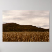 Kornveld in het poster herfst (Voorkant)