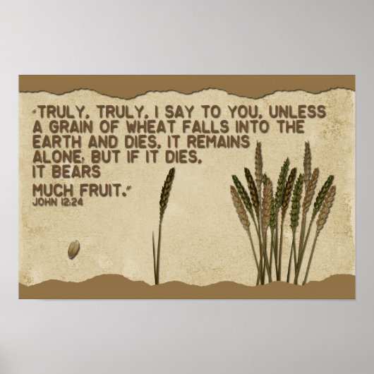 Korrel van tarwe poster (Voorkant)