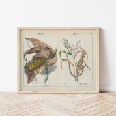 korrels | Charlotte Mary Yonge Poster