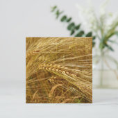 Korrels van tarwe in het veld. Het is oogsttijd! (Staand voorkant)