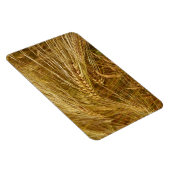 Korrels van tarwe in het veld. Het is oogsttijd! Magneet (Rechterzijde)