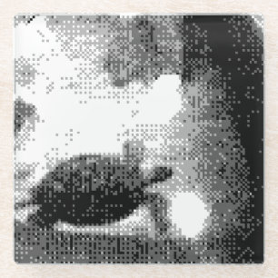 korrelschildpadden glazen onderzetter