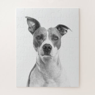 Kortademige hond op grijsschaal (zwart-wit) legpuzzel