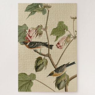Korte broekriem - Amerikaanse vogels van Audubon Legpuzzel