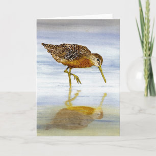 Korte Dowitcher-kaart Kaart