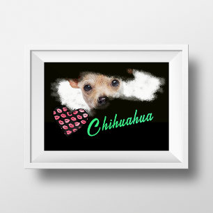 Korte gehakte Chihuahua Eyes Solid Color Poster