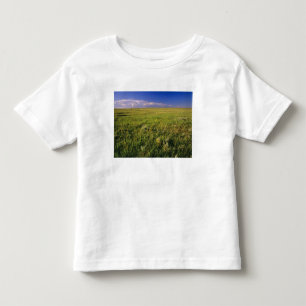 Korte grassteppe in afgelegen noordoostelijk kinder shirts