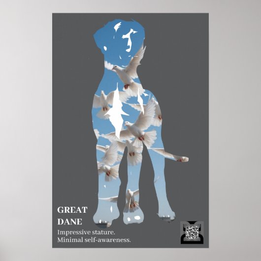 Korte Great Dane Poster (Voorkant)