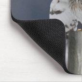 Korte haver 2 muismat (Hoek)