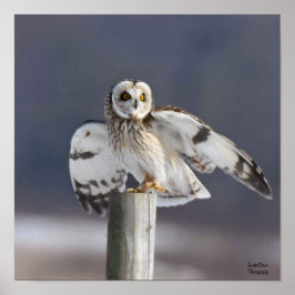 Korte haver 2 poster