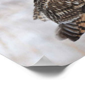 Korte haver poster (Hoek)