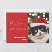 Korte huisdier kat kerstkaart (Voorkant)