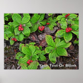 Korte krodde met bessen poster (Voorkant)