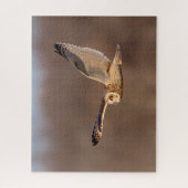 Korte-ooruil tijdens de vlucht legpuzzel (Verticaal)