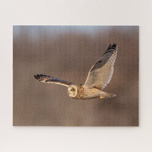 Korte-ooruil tijdens de vlucht legpuzzel