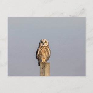 Korte oranje bij de Graslanden van Shawangunk Briefkaart