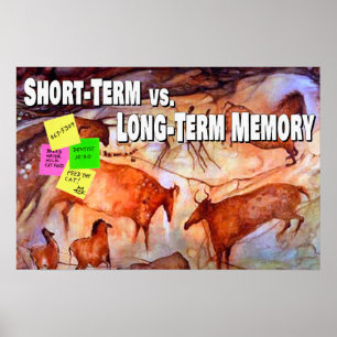 Korte termijn vs. lange termijn geheugen poster