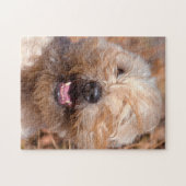 Korte wielschilderij met coating legpuzzel (Horizontaal)