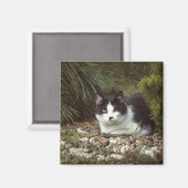 Korthaar Cat - Magneet (Voorkant / Achterkant)