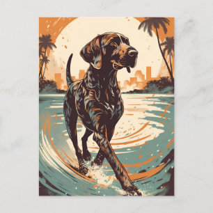 Kortharige Pointer op een strand tijdens zonsonder Briefkaart