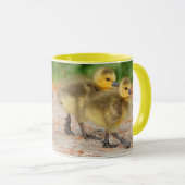 Korting op de parade: Canada Goose Goslings Mok (Voorkant rechts)