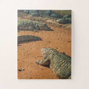 Kortneus krokodillen Zonnebaden nabij schildpadden Legpuzzel