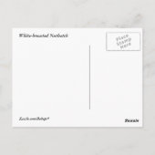 Kortsnuitkever Briefkaart (Achterkant)