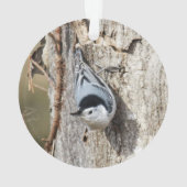 Kortsnuitkever Ornament (achterkant)