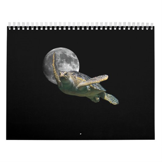 Kosmic Moon Zee Turtle Swimming in Space Premium Kalender (Hoes)