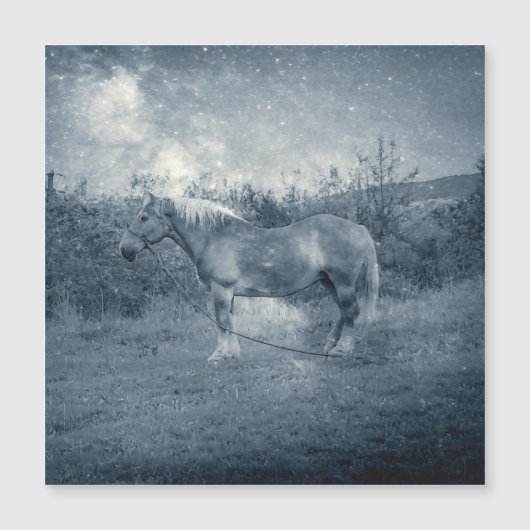  kosmisch zilvergalaxiaal paard (Voorkant)