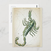 Kosmische Schorpioendierenriem Briefkaart (Voorkant / Achterkant)
