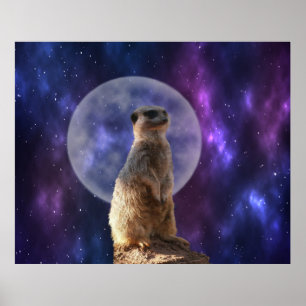 Kosmische Sentinel: Meerkat onder de volle maan Poster