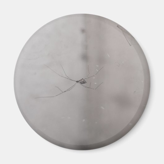 kosmopolitische kelderspin magneet (Voorkant)