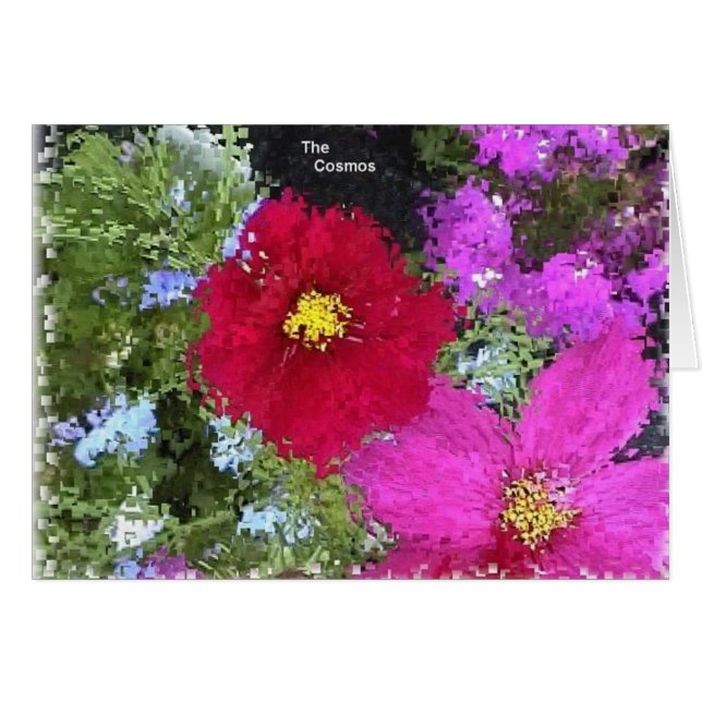 kosmos (Voorkant Horizontaal)